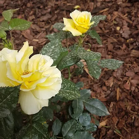 Hébergement de vacances 